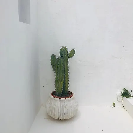 Βίλα Paradise *